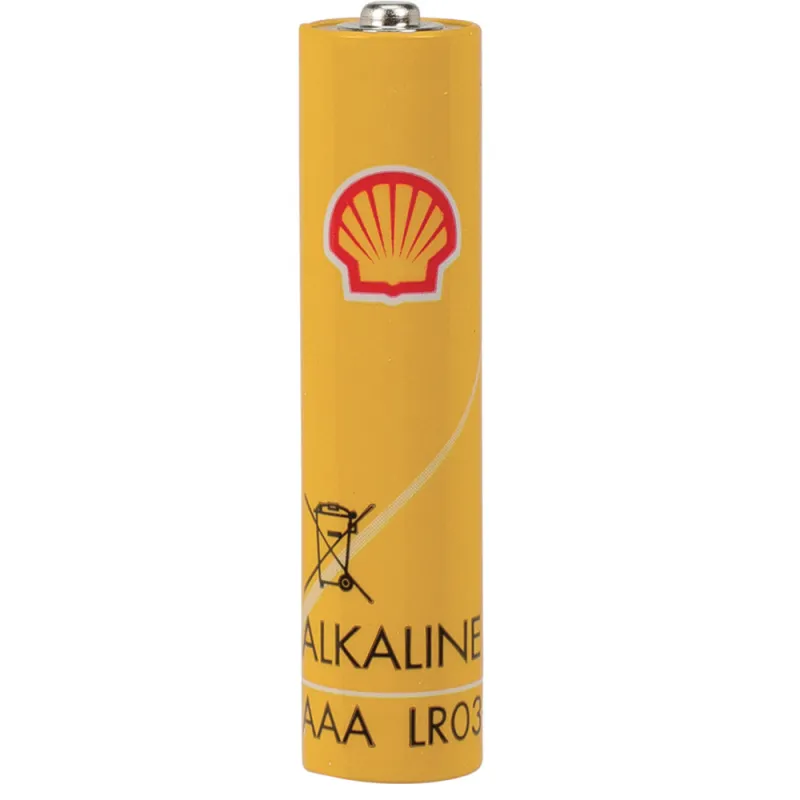 12 Piles alcalines AAA conception anti-fuite 1,5V 12 Piles alcalines AAA conception anti-fuite 1,5V