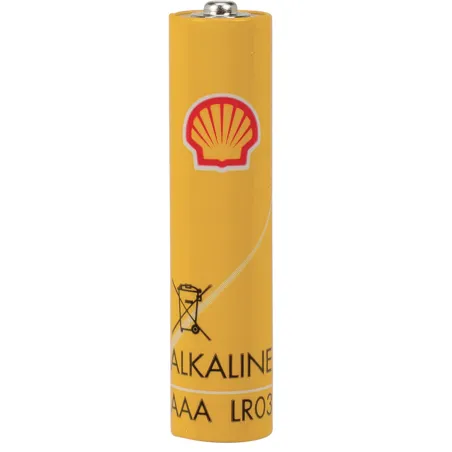12 Piles alcalines AAA conception anti-fuite 1,5V
