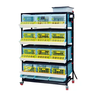 Combinaison cages évolutives special cailles