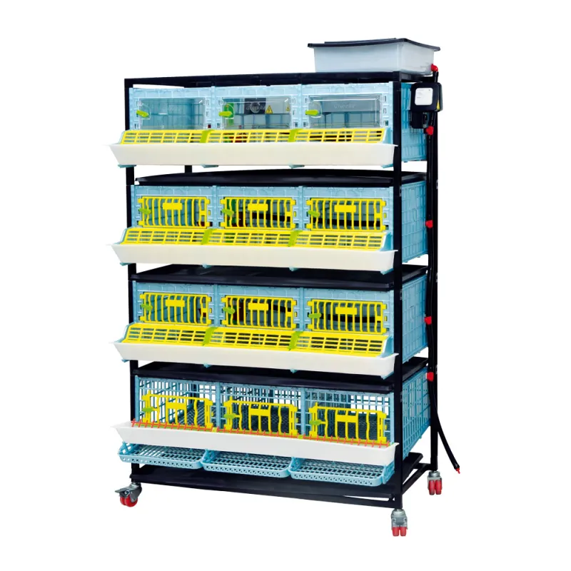 Combinaison cages évolutives special cailles Combinaison cages évolutives special cailles