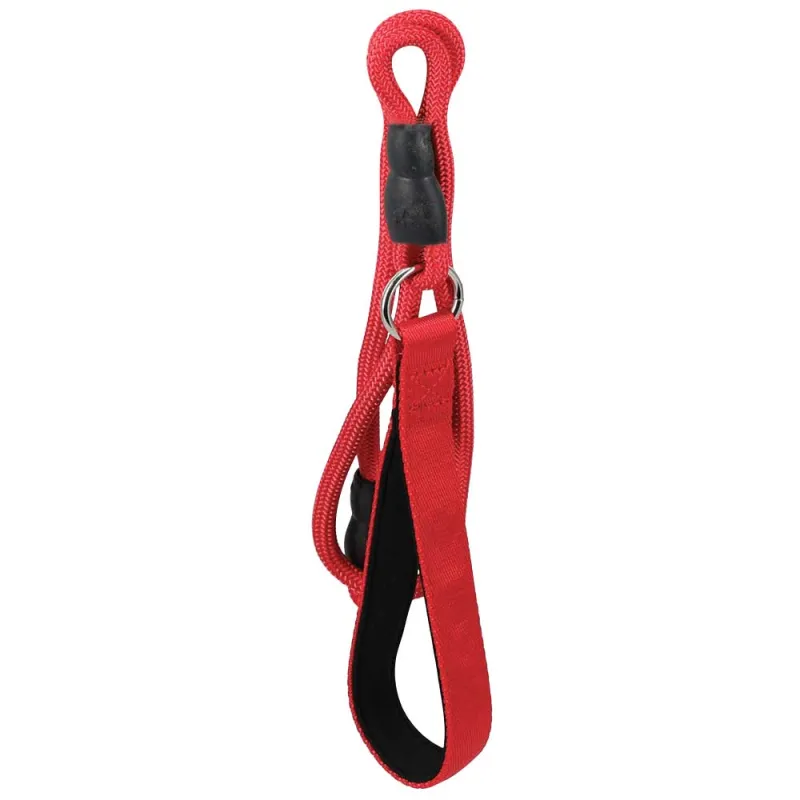 Laisse chien polyester 120 cm - robuste et pratique