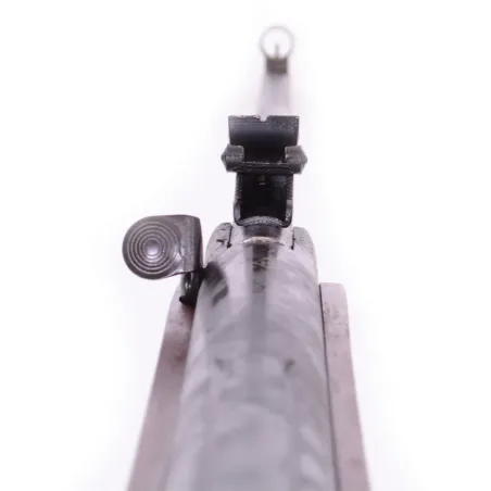 Carabine plomb Cross Air avec lunette 4 X 20