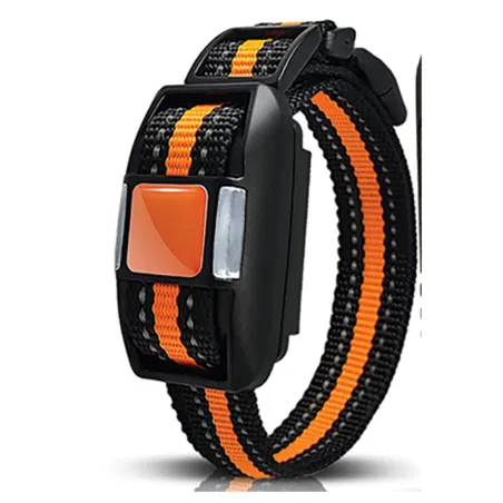 Collier de dressage 2 chiens - 99 niveaux - IP67 - Rechargeable
