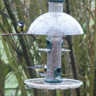 Mangeoire graine pour oiseaux métal 2 perchoirs