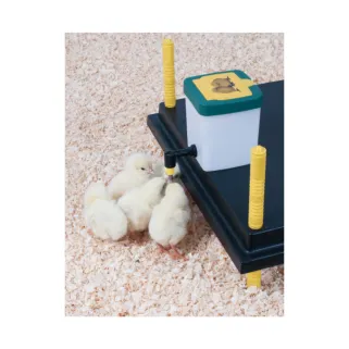 Abreuvoir à pipette pour poussins et cailles