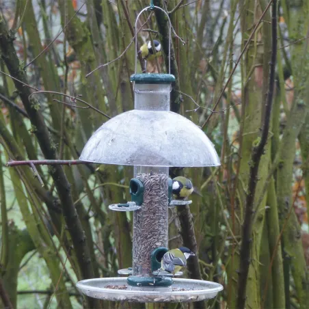 Mangeoire graine pour oiseaux métal 2 perchoirs
