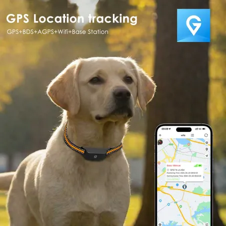 Traceur GPS 4G temps réel pour animaux - Application gratuite