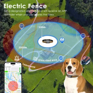 Traceur GPS 4G temps réel pour animaux - Application gratuite