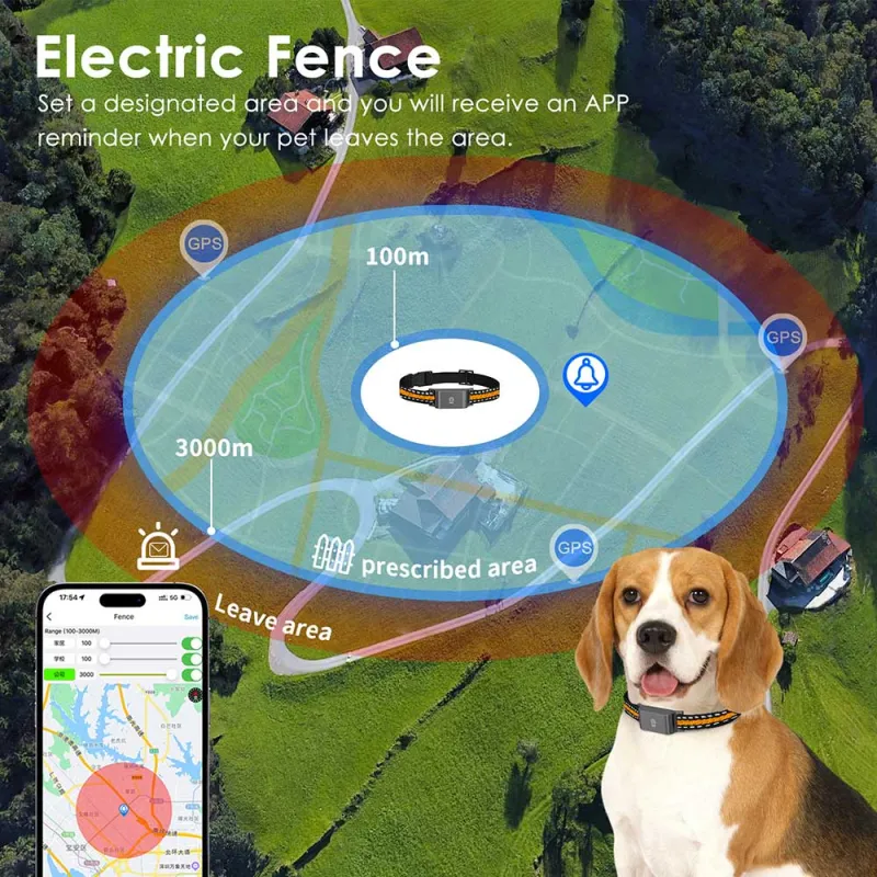 Traceur GPS 4G temps réel pour animaux - Application gratuite