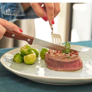 6 Couteaux Steak Inox 3cr14 22cm Lame Dentelée Effet Bois