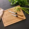 Planche à découper + 2 couteaux inox 3cr14 12,7cm et 7,6cm