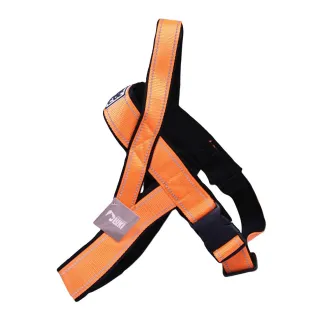 Harnais norvégien réfléchissant orange néoprène nylon 60-70cm