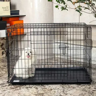 Cage métal grillagée avec plateau noir