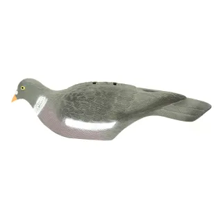 Pigeon ramier en coquille léger à l'unité