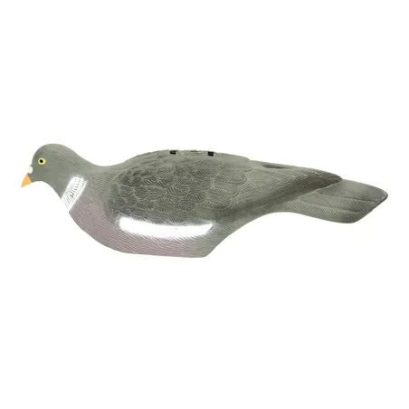 Pigeon ramier en coquille léger à l'unité