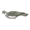 Pigeon ramier en coquille léger