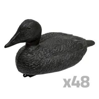 Lot de 48 Eiders réalistes traitement anti reflet noir