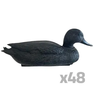 Lot de 48 Appelants Colvert Noir Mâle Flottant