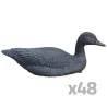 Lot de 48 Appelants Oie Noire Taille Réelle Flottante avec Quille Intégrée