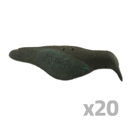 Lot de 20 Appelants Corbeau coquille