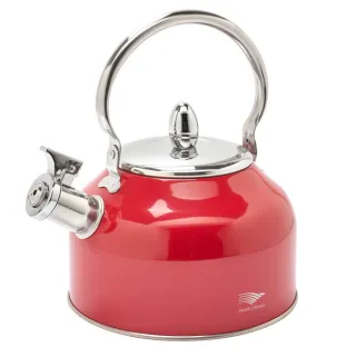 Bouilloire à sifflet 2,5L induction tous feux épaisseur 0,35mm