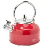 Bouilloire à sifflet 2,5L induction tous feux épaisseur 0,35mm