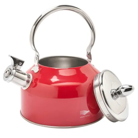 Bouilloire à sifflet 2,5L induction tous feux épaisseur 0,35mm