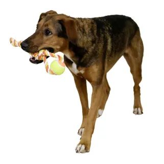 Jeu chien Balle de tennis avec poignée 37 cm