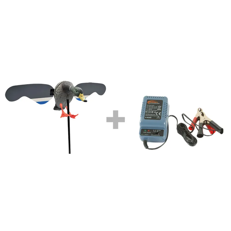 Pack Canard électrique à ailes tournantes 6V + chargeur