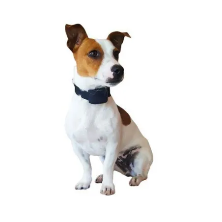 Clôture et collier anti-fugue chats et petits chiens "Canifugue Small" Clôture et collier anti-fugue chats et petits chiens "Canifugue Small"