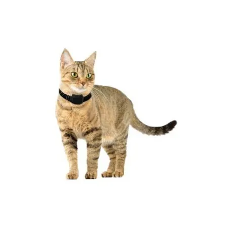 Clôture et collier anti-fugue chats et petits chiens "Canifugue Small" Clôture et collier anti-fugue chats et petits chiens "Canifugue Small"