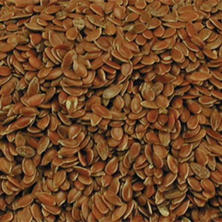 Graines de lin VADIGRAN dépoussiérées 1kg, 4kg, 20kg