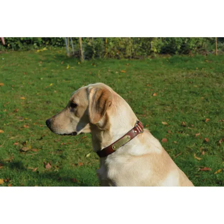Collier à graver sur plaque laiton cuir noisette 4 tailles 