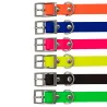 Colliers BETA petit chien et chiot 6 couleurs Colliers BETA petit chien et chiot 6 couleurs