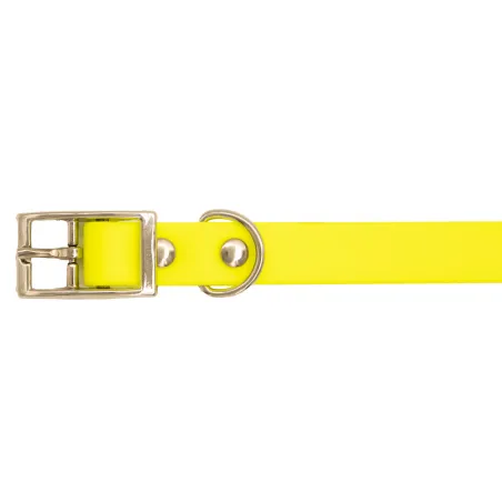 Colliers BETA petit chien et chiot 6 couleurs Colliers BETA petit chien et chiot 6 couleurs