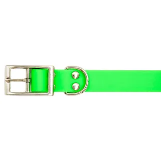 Collier chien BETA taille standard