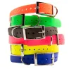 Collier chien BETA taille standard
