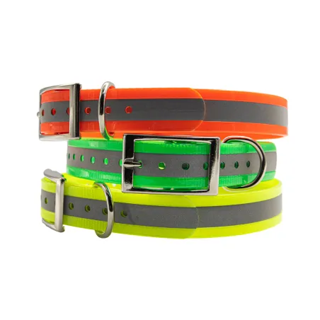 Collier fluo BIOGOLD REFLECTIVE 3 couleurs 3 tailles