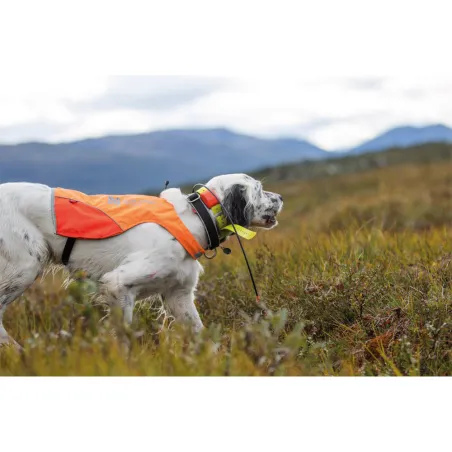 Veste de protection chien Protector Cover réfléchissant 6 tailles Veste de protection chien Protector Cover réfléchissant 6 tailles