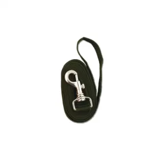 Laisse chien 1,50 m kaki ou orange largueur 25 mm