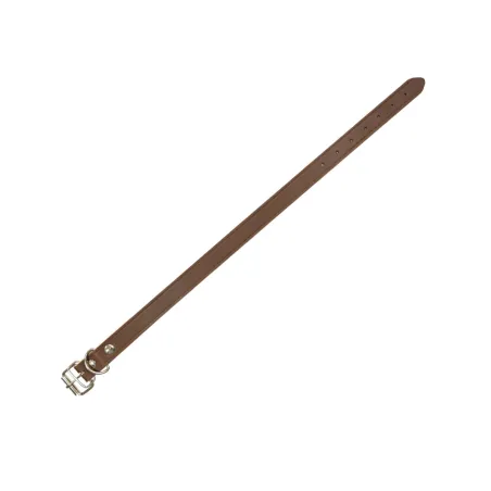 Collier chien cuir riveté simple 2,5 X 45 cm marron