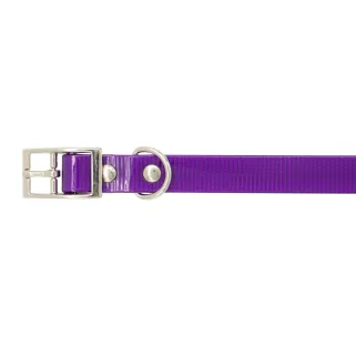 Collier Biogold petit chien ou chiot 11 couleurs