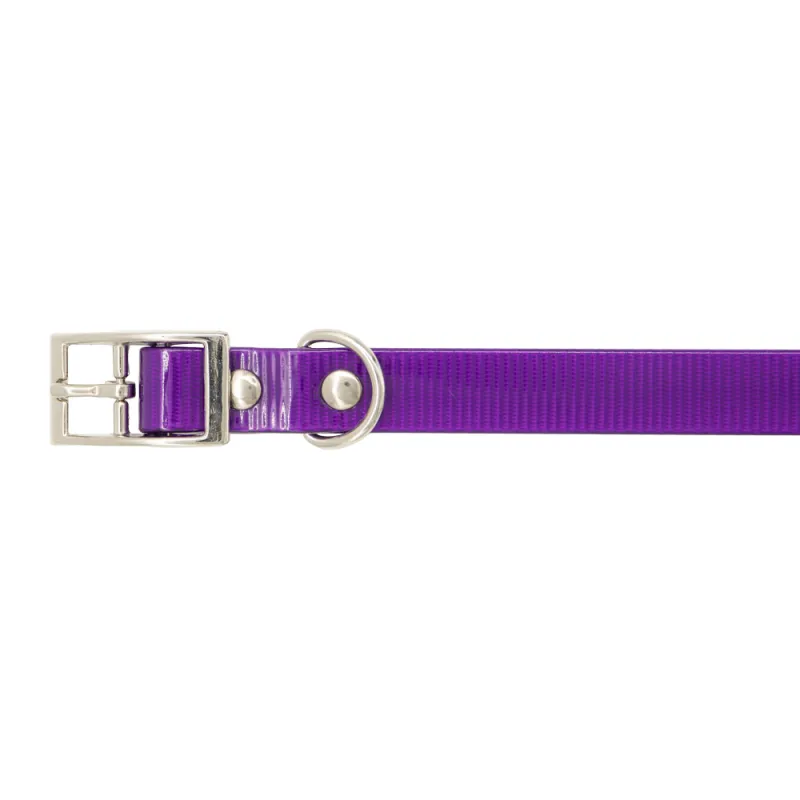 Collier Biogold petit chien ou chiot 11 couleurs