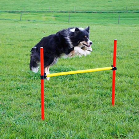Kit complet d'agilité pour chien Agility en 3 parties