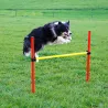 Kit complet d'agilité pour chien Agility en 3 parties