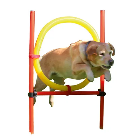 Kit complet d'agilité pour chien Agility en 3 parties