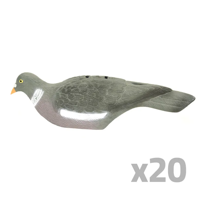 Lot de 20 Pigeons ramier en coquille léger Lot de 20 Pigeons ramier en coquille léger