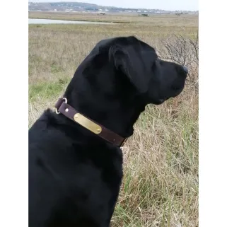 Collier à graver sur plaque laiton cuir chocolat 4 tailles 