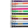 Collier à graver sur plaque BIOGOLD petit chien et chiot 11 couleurs 