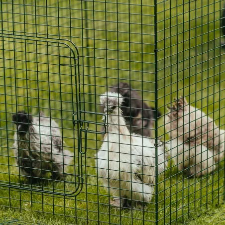 Extension de 1m pour enclos 2 m poulailler surélevé 8-15 poules Extension de 1m pour enclos 2 m poulailler surélevé 8-15 poules